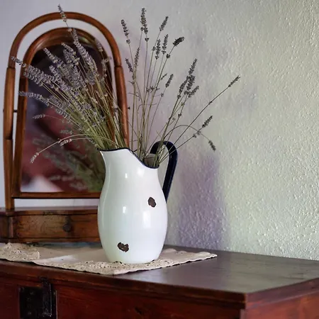 Casa Castora * Uffogliano