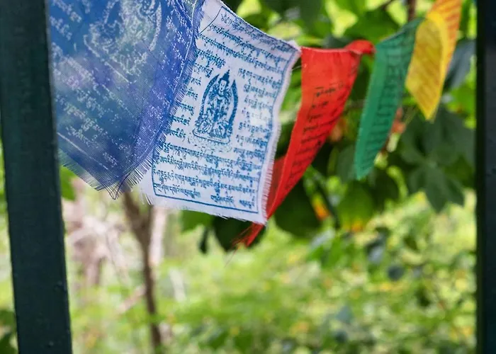 Casa Castora Dağ evi